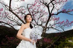 Serie: Hochzeitsbräuche weltweit – Heiraten in Japan